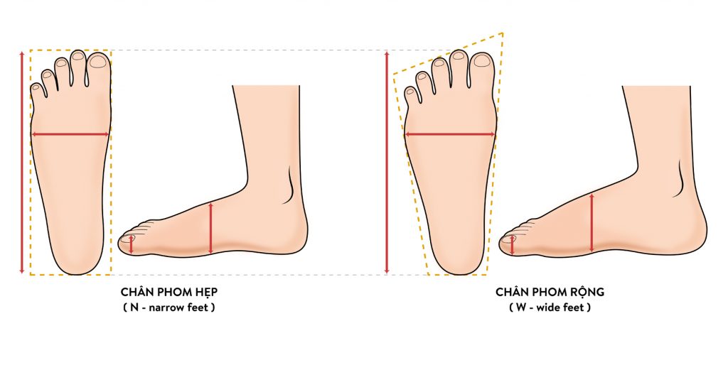 Các kiểu bàn chân thường gặp.